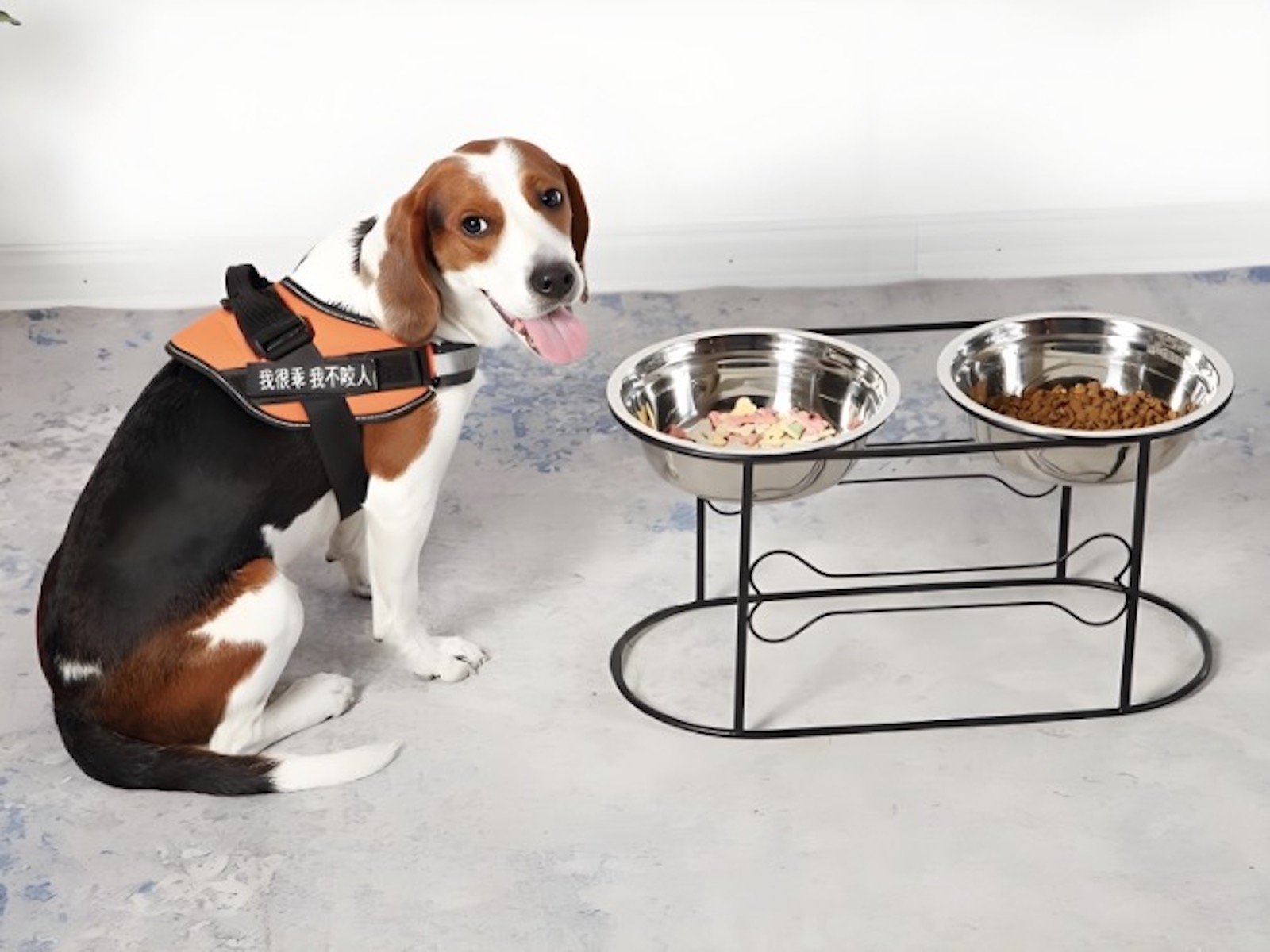 Pet Supplies 